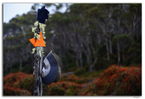 AU1372.Overland Track.Pelion Gap.Wegzeichen