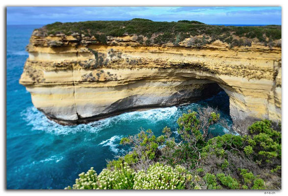 AU1173.Muttonbird Island