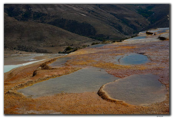 IR0288.Badab Soort
