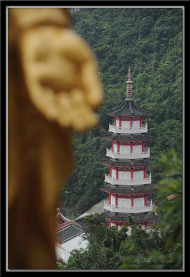 C2510 Hong Kong Tempel der 10'000 Buddhas