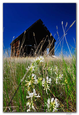 CA1069.Old House.Kincaid