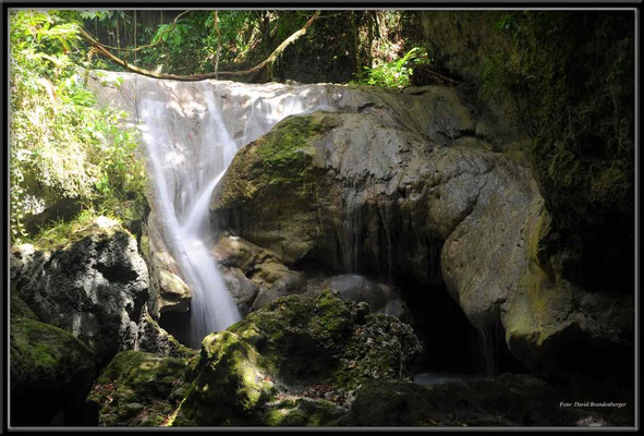 JM018 Somerset Falls
