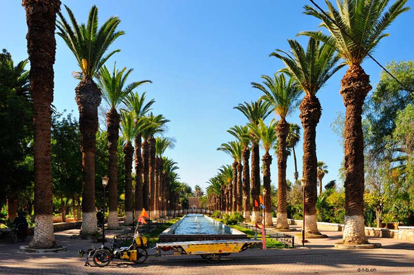 MA: Solatrike in Taroudant. Fontaine Passage Palmeraine