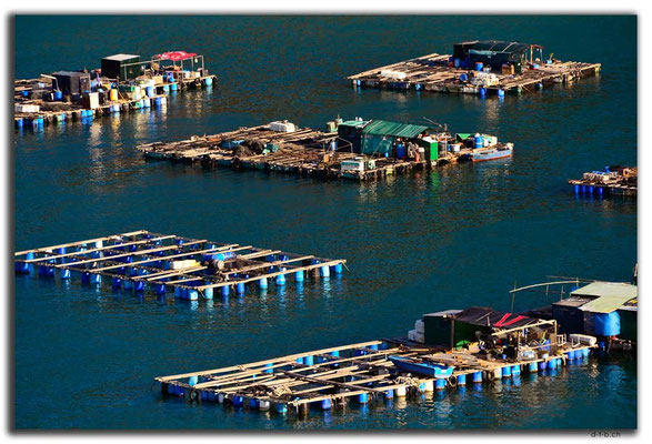HK0099.Lamma Island.Fischereibetrieb