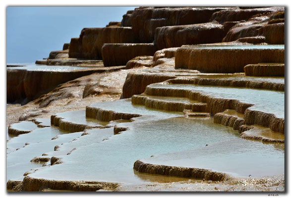 IR0281.Badab Soort