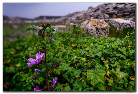 TR0363.Perge.Stadium