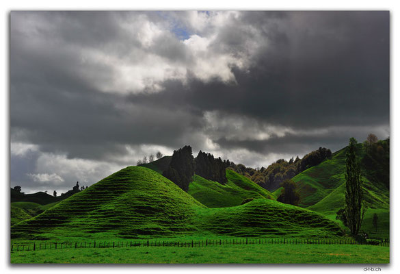 NZ0354.Farmland