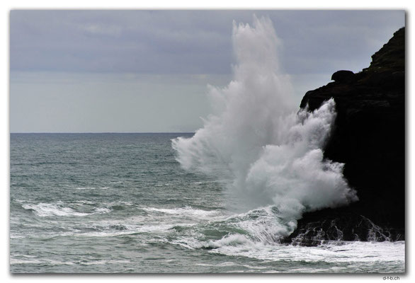 NZ0905.Curio Bay,Wave