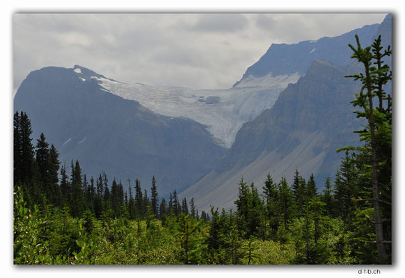 CA0622.Crowfoot Glacier