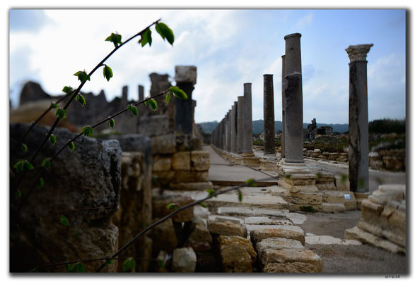 TR0379.Perge.Palaestra