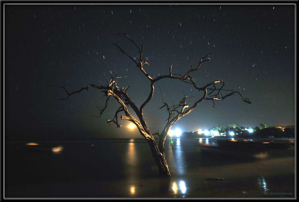 JM098.Buttonwood Tr. Beach