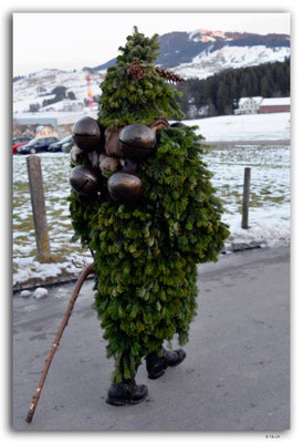 A0897.Silvesterchlausen.Waldstatt