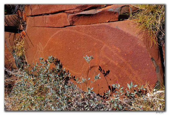 AU0322.Karratha.Rock Art.Kangaroo