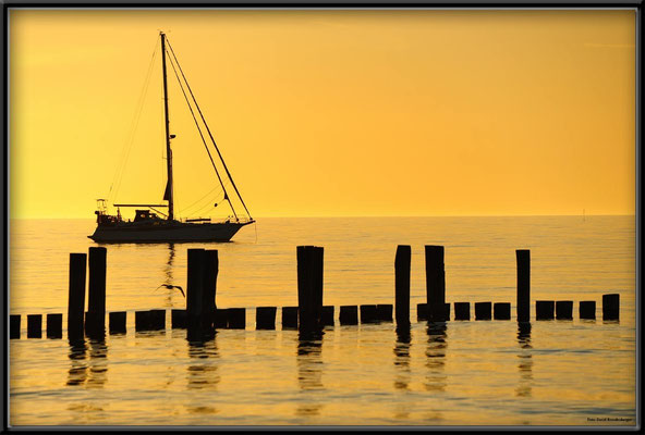 A0497.Zingst.