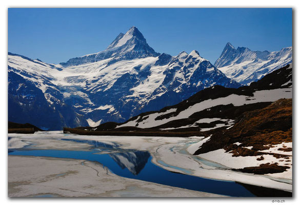 GW0260.Schreckhorn im Spiegel