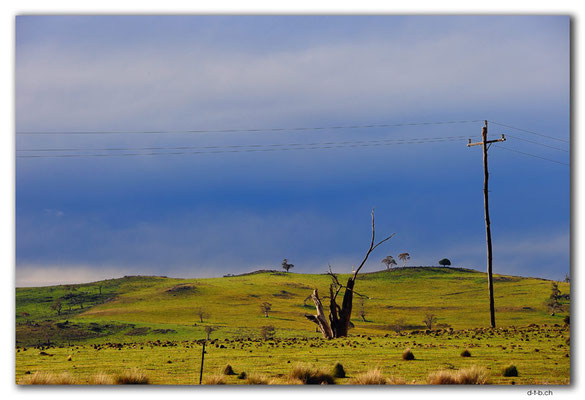 AU1498.Kybeyan Range