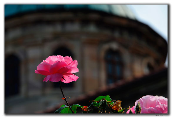 TR0955.Giresun.Rose bei Museum