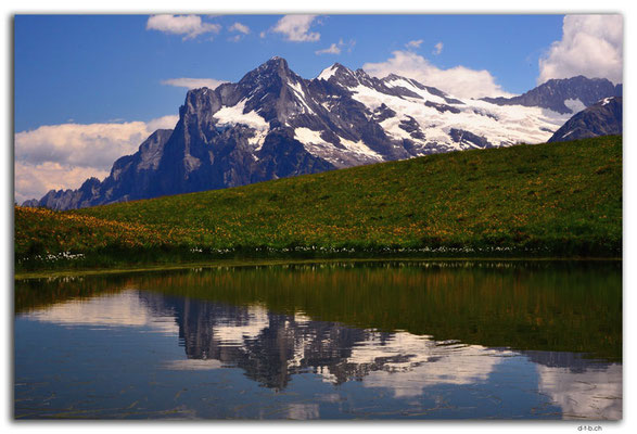 GW0318.Wetterhorn spiegelt im Alpsee