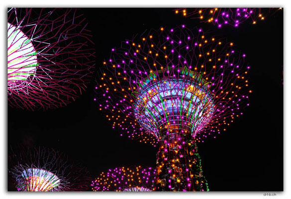 SIN0074.Gardens by the Bay.Supertrees Lightshow