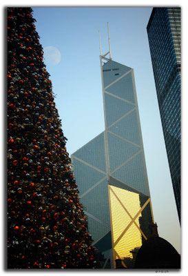 HK0046.Christmas tree