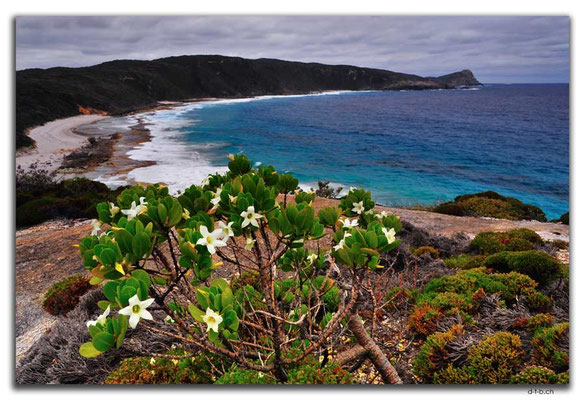 AU0811.Albany.Torndirrup N.P.Cable Beach