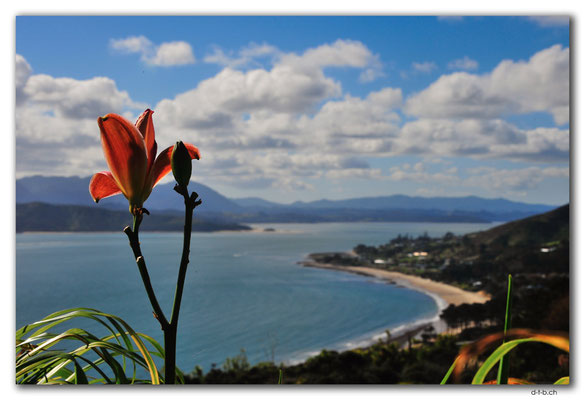 NZ0090.Omapere
