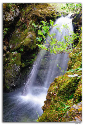 NZ0533.Kahurangi N.P.Bullock Creek Falls