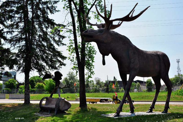 CA. Solatrike at Dryden with Max the Moose