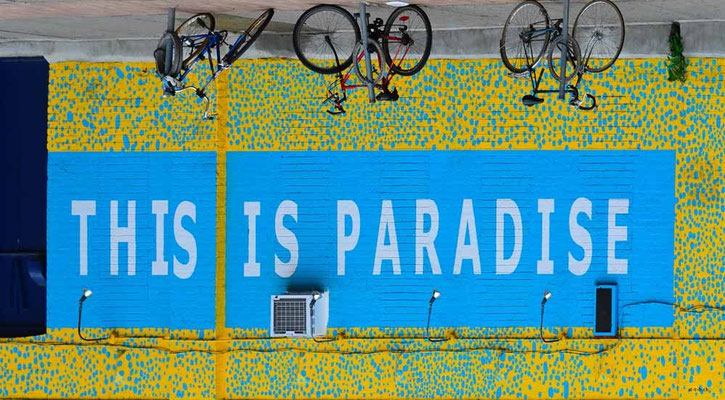 CA0312 Toronto This Is Paradise