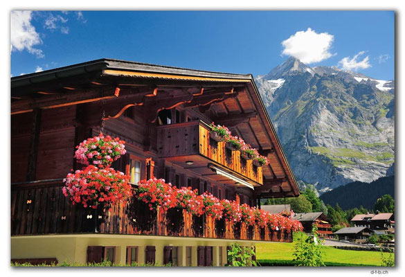GW0133.Wohnhaus vor Wetterhorn