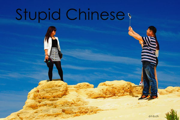 Australien.Pinnacles.Nambung N.P. Stupid Chinese2
