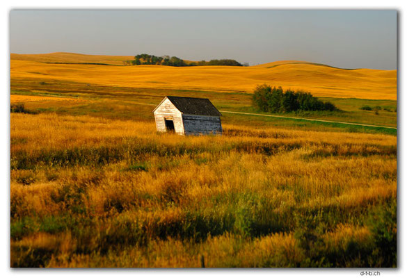 CA0810.Trainride Edmonton - Winnipeg