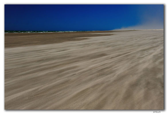 NZ0609.Farewell Spit.Ocean Beach.Blowing Sands