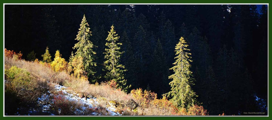 A0585.Sardasca.Klosters.CH