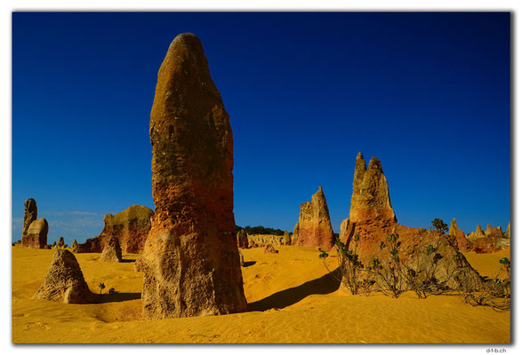 AU0593.Nambung N.P.Pinnacles