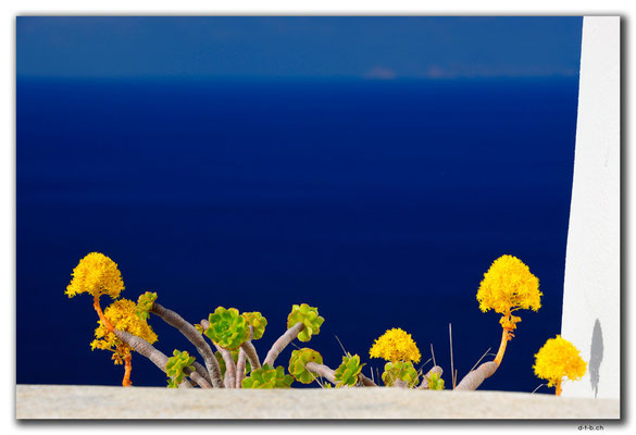 GR0584.Oia