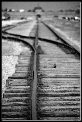 PL048.Birkenau.Schienenstrang