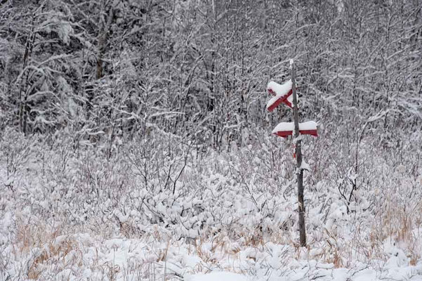 Schweden,Moskojärvi1