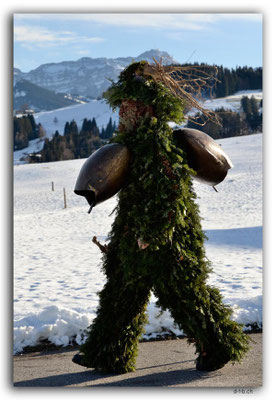 A0849.Silvesterchlausen.Waldstatt