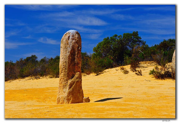 AU0576.Nambung N.P.Pinnacles