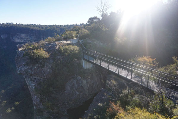 Australien.Blue Mountains6 (Photo: Tanita Kratzke)