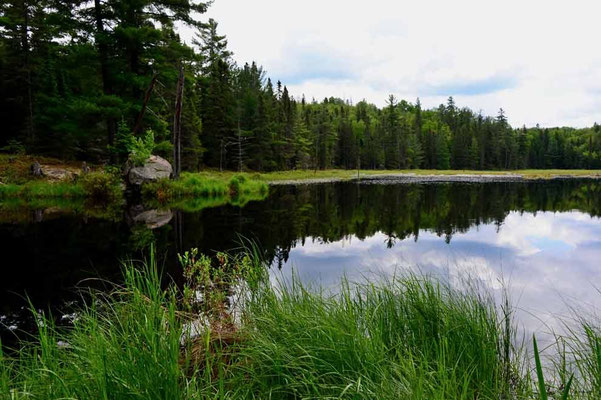 CA0481 Algonquin Park Amikeus Lake
