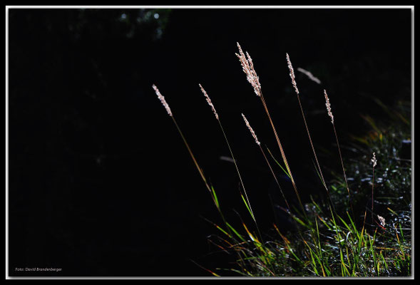 A0577.Nationalpark.CH