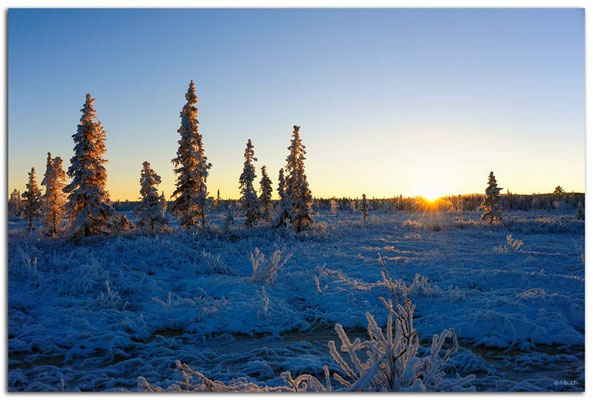 SE0101.Lapland Wilderness