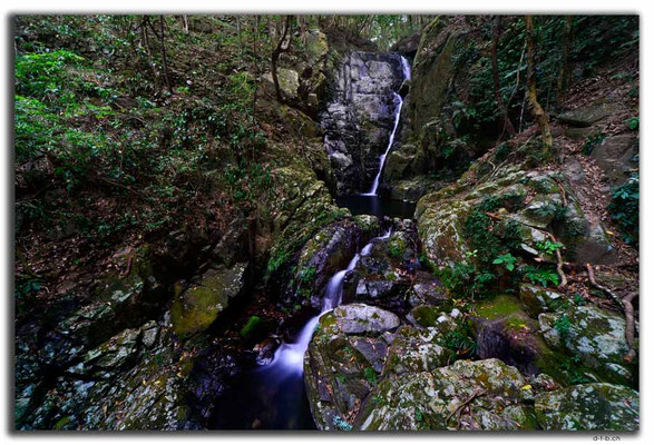 HK0075.Tai Mo Shan.Hidden Fall