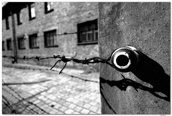 PL011.Auschwitz.Detail,Zaun