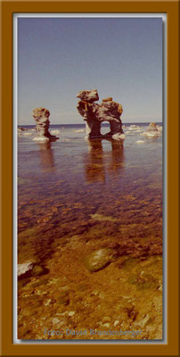A0165.Rauk.Hund.Gotland.SE