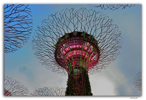 SIN0069.Gardens by the Bay.Supertrees