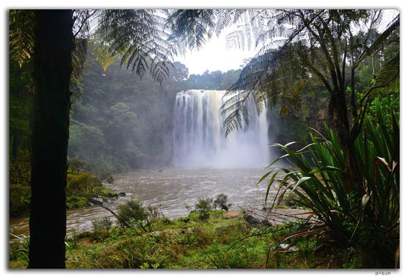 NZ0128.Kerikeri.Rainbow Waterfall