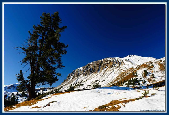A0687.Nationalpark.CH
